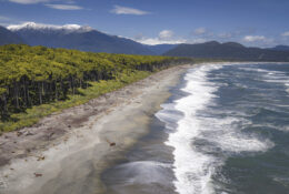 New Zealand 2025 (1 group) (30/66)